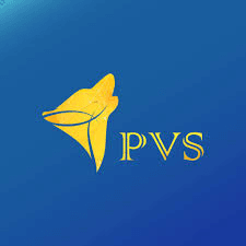 PVS Solution logo